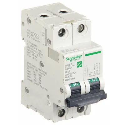 SCHNEIDER Supplementary Protector: 5 A Amps, 14kA at 240V AC, Screw Clamp, C60SP - B-Curve, 2-Pole UL1077 DIN Rail-Mount Supplementary Protectors