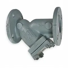 This Y strainer is designed for use in steam, water, and process piping systems to remove debris and protect downstream equipment. It features a 6-inch flanged connection, a perforated 304 stainless steel screen with 0.125-inch openings, and a 316 tanged graphoil seal.