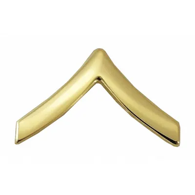 HEROS PRIDE Metal Emblem: Private, 3/4 in, Gold, Metal, Clutch Pin, Rank Insignia - Metallic Insignia