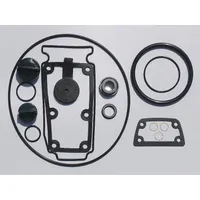 APPROVED VENDOR Seal Kit: Mfr Part # 24D050, Dayton