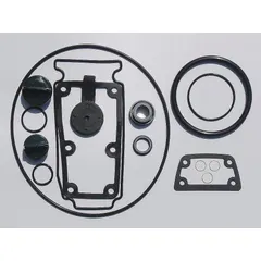 This seal kit includes a mechanical seal for dewatering and wastewater pumps. It is used to replace worn seals, preventing leaks and maintaining pump performance in water-handling applications.