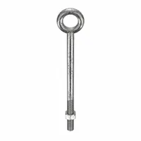 Machinery Eye Bolt: Without Shoulder, 18-8, Stainless Steel, Plain, 4 in Thread Lg, 12 in Shank Lg (MPN N2012-SS-12)