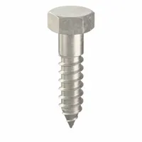 Hex Head Lag Screw: 1/2 in Size, 2 in Lg, Stainless Steel, NL-19, 10 PK (MPN FBLB122P10)
