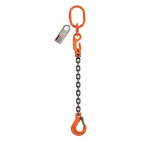 Steel adjustable-length single-leg chain sling with Grade-100 chain and a sling hook. Sling length is 5 ft. Used for lifting and rigging heavy loads in industrial settings such as construction, manufacturing, and warehousing