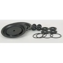 This fluid-end repair kit rebuilds the liquid-handling section of compatible diaphragm pumps. It contains Santoprene components to restore sealing and pressure performance in general fluid-handling systems.