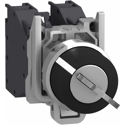 SCHNEIDER Keyed Selector Switch: 2 Position, 22 mm Panel Mounting Size - Panel-Mounted Key Switches without Contacts