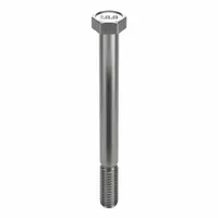 Hex Head Cap Screw: Stainless Steel, A2, NL-19, 3/8"-16, Coarse, 4 in lg, Globally Sourced, 5 PK (MPN FBHEXB38164P5)