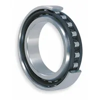 NTN Cylindrical Roller Bearing: 326, 130 mm Bore, 280 mm OD, 58 mm Overall Wd, Cylindrical, Brass (MPN NU326EG1C3)