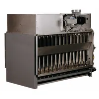 Gas-fired duct furnace with 250,000 BtuH input capacity. Constructed with aluminized steel heat exchanger. Features 3/4 in male NPT gas connection and side mounting configuration. Used for heating air in commercial or industrial ducted HVAC systems