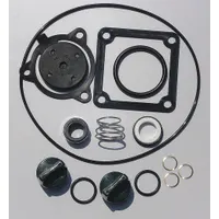 APPROVED VENDOR Seal Kit: Mfr Part # 24D053, Dayton