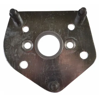 DAYTON Assembly, Side Plate: For 3TP92G/3TP93G/3TP94G - GGS Material Handling Parts