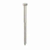 Hex Head Lag Screw: 3/8 in Size, 6 in Lg, Stainless Steel, NL-19, 5 PK (MPN FBLB386P5)