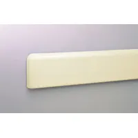 PETG crash rail and bumper guard in ivory color. Overall height 4 inches, overall length 12 feet. Designed to protect walls from impact damage in industrial facilities, warehouses, and loading docks
