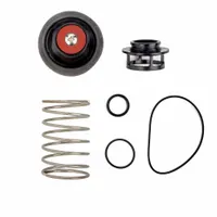 WATTS Backflow Preventer Repair Kits: Total Relief Valve Kit, 1-1/4 LF919-QT-S-FS/1-1/2 LF919-QT-S-FS/2 LF919-QT-S-FS, 919/LF919 (MPN RK 919-VT 1-1/4-2)