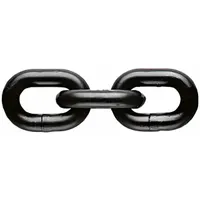 PEWAG Chain: 9/32 in Trade Size, 80 Chain Grade, Alloy Steel, 3,500 lb Working Load Limit, Straight (MPN SA7/8)