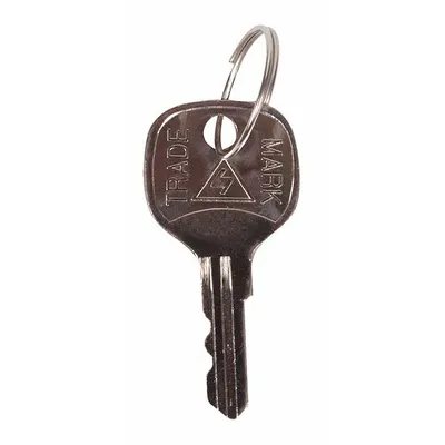 SAFETY TECHNOLOGY INTERNATIONAL Key: Metal - Keys for Alarm & Wall Fixture Covers