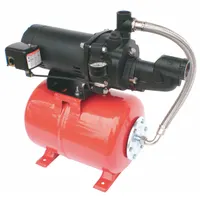 DAYTON Shallow Well Jet Pump System: 1/2 hp HP, Single Phase, 115/230V AC, No Ejector Included (MPN 5UXK8)