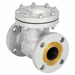 This carbon steel inline swing check valve features a flanged connection and a 2-inch pipe size. It is designed to prevent backflow in piping systems, allowing flow in one direction only. Typical applications include water, oil, and gas lines where a durable, inline check valve is required.