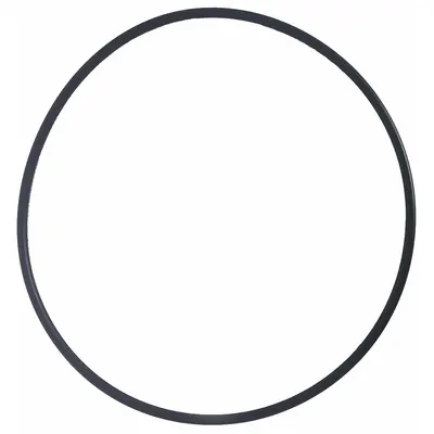 TSURUMI O-Ring 200-800-250 - O-Rings for Dewatering & Wastewater Pumps