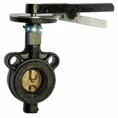 This ductile iron butterfly valve features a concentric wafer design with a CF8M stainless steel disc and lever handle. Rated for 250 psi CWP, it is suited for on-off flow control of water, air, and non-aggressive fluids in general industrial piping systems.