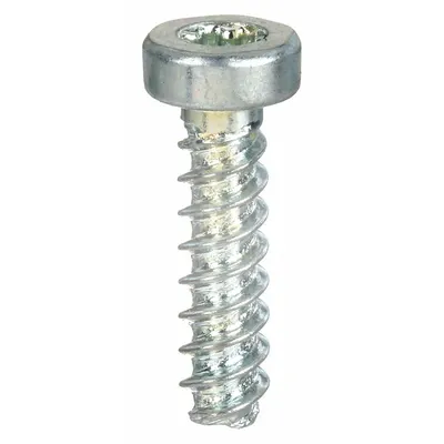 TAMPER PRUF SCREW #0 x 1/4 in Pan Head Sheet Metal Screw - Pan Head Sheet Metal Screws