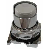 EATON Extended Push Button: 30 mm, Non-Metallic, Momentary (MPN 10250T516)