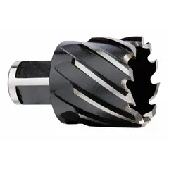 This high-speed steel annular cutter features a black oxide finish and a 1-3/4 in diameter, with a maximum cutting depth of 1 in. Designed for use with magnetic drill presses or portable drills, it produces clean holes in steel and other metals for structural, plate, and beam applications.