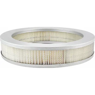 BALDWIN FILTERS PA2075 Round-Oval Engine Air Filter - Round/Oval Engine Air Filters