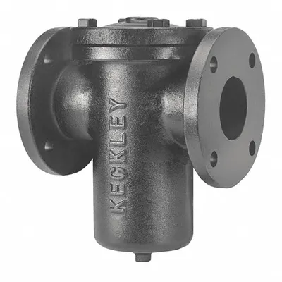 KECKLEY 51FFS-CI125P34-FBI-GFV Cast Iron Basket Strainer - Cast Iron Basket Strainers