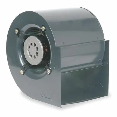 Dayton Blower with Motor: 9 3/8 in Wheel Dia, Direct Drive, 1/4 hp, 115V AC, 1 Ph - Direct-Drive Blowers with Drive