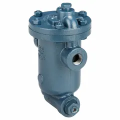 Cast-iron inverted-bucket steam trap with 1-inch FNPT connections, rated for 3500 lb/hr maximum capacity at 250 psi and 450°F. In-line configuration designed for horizontal installation. Includes an integrated strainer for condensate removal in steam distribution systems.