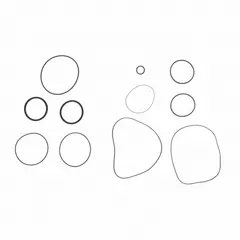 Replacement seal kit for FILL-RITE pumps. Contains two square seals and seven O-rings made from Viton fluoroelastomer. Used to repair leaks and restore sealing integrity in industrial fluid-transfer applications.