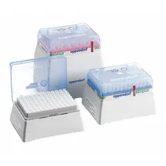 Non-sterile pipette tips made from biomedical grade plastic, designed for universal pipettes. Each tip has a 300 µL capacity and is supplied in a preconfigured orange rack. Pack of 960 tips without filter. Suitable for general liquid handling in laboratory settings where sterility is not required.
