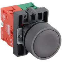 DAYTON Flush Push Button Operator: Non-Illuminated, Flush Profile, Non-Metallic, 22 mm, 1NO/1NC