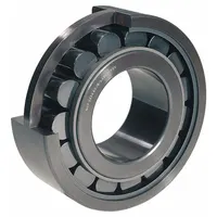 SKF Cylindrical Roller Bearing: 222, 110 mm Bore, 200 mm OD, 38 mm Overall Wd, Cylindrical (MPN NJ 222 ECP)