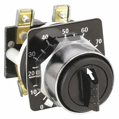 SCHNEIDER Potentiometer: 30 mm Panel Mounting Size - Potentiometers with Dial Plates & Operators