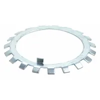 FSQ Bearing Lock Washer: W40, Inch, Steel, AN40/W40, 9.156 in Face Dia, 1200/1300/2220/22300/23200