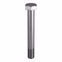 Grade B8M heavy hex bolt with 3/4"-10 thread size, plain finish, meeting ASTM A193 material quality and ASME B18.2.1 dimensional standards. Suitable for structural connections in high-temperature and corrosive environments, such as flanged joints and piping systems. Sold in small pack size, nut not included