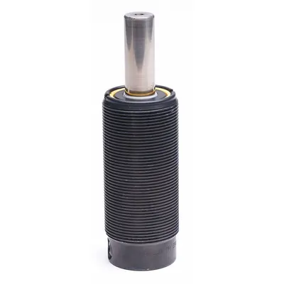 RAYMOND Gas Spring: M38x1.5 Thread Size, 9 3/4 in Ext Lg, 790 lbf Force - Gas Springs