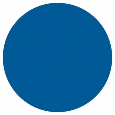 BRADY Inventory Label: 1 1/2 in Dia, Blue, Circle, Paper, Indoor, No Text - Safety