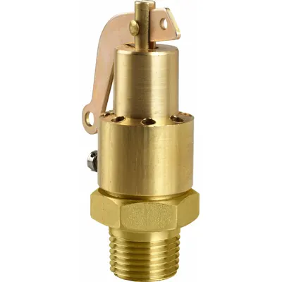 AQUATROL 130CA1M1K1-50 ASME Section VIII Steam Pressure Relief Valve - ASME Section VIII Steam Pressure Relief Valves
