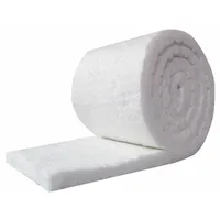 Aluminum silicate ceramic fiber blanket in roll form for high-temperature thermal insulation. Measures 12.5 ft long, 24 in wide, 2 in thick, with an R-Value of 0.75 and weight of 37 lb. Used in industrial furnaces, kilns, boilers, and process piping to reduce heat loss