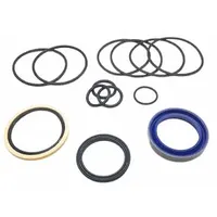 This seal kit is designed for servicing BUCHER HYDRAULICS QXM83-250 and QXM83-250L hydraulic motors. It contains the necessary seals to replace worn components, helping to prevent fluid leaks and restore motor performance in hydraulic systems