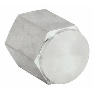 PARKER Cap: Cap, 316 Stainless Steel, 1/4 in, Female NPT Threaded, 6,000 psi - Extreme Pressure Threaded Pipe Fittings