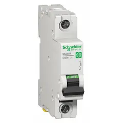 This 1-pole DC-only supplementary protector from the C60H-DC series is rated for 250V DC with a maximum interrupting rating of 5kA at 250V DC. It features a C curve trip characteristic and screw clamp terminals. Suitable for overcurrent and short-circuit protection in industrial DC circuits such as solar photovoltaic systems, battery banks, and DC distribution panels.