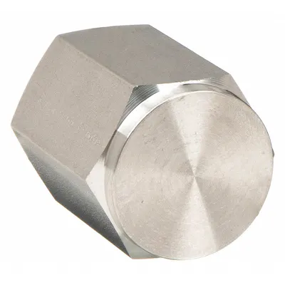 PARKER Cap: Hex Drive Cored Cap, 316 Stainless Steel, 3/8 in, NPT Threaded, 5,300 psi - Extreme Pressure Instrumentation Pipe Fittings
