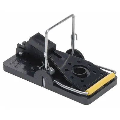 KNESS PEST DEFENSE Mouse Trap: Snap Trap - Rodent Traps