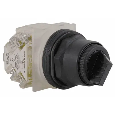 SCHNEIDER Selector Switch: 30 mm Panel Mounting Size, 2 Positions, Short Lever, DPDT - Selector Switches