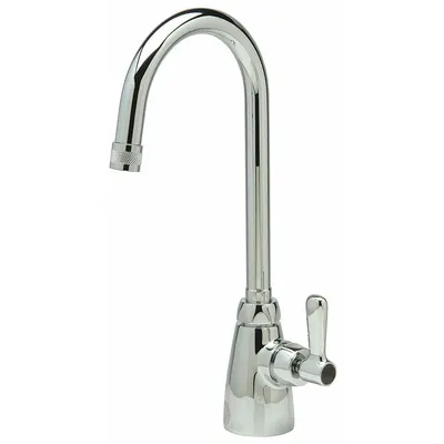 ZURN Z825B1-XL Single-Post Laboratory Faucet, Chrome, Cold Water, Gooseneck - Single-Post Laboratory Faucets