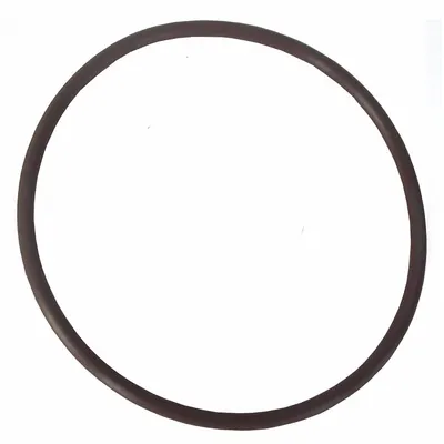 DAYTON O-Ring: Mfr Part # PPT03304G - Seal Kits & Gaskets for Straight Centrifugal Pumps